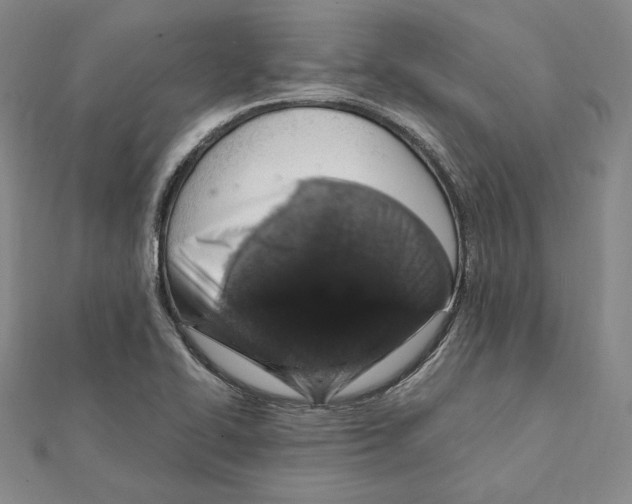 X0000112011414200908311125