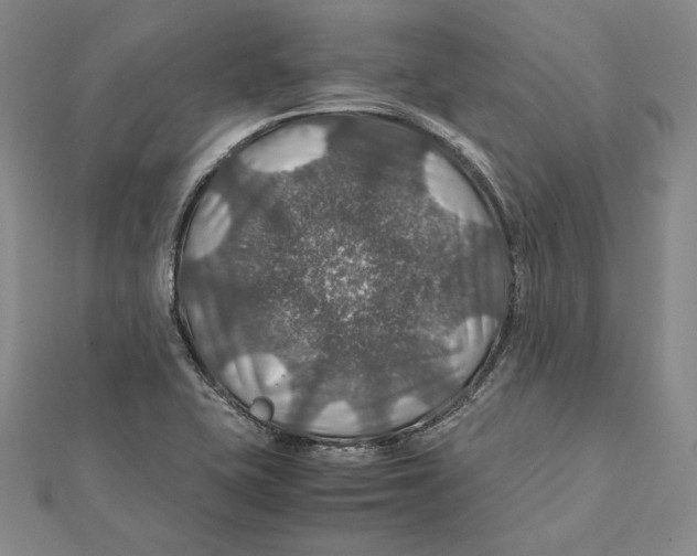 X0000112011415200908311125