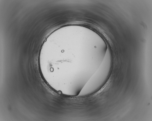 X0000112011417200908311125