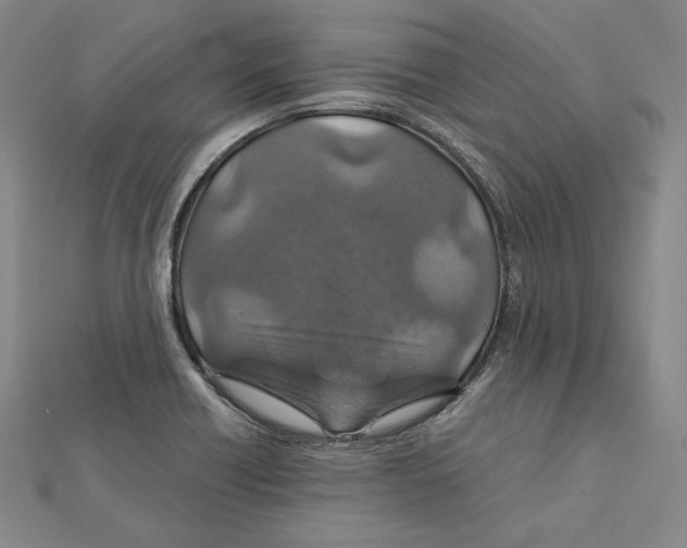 X0000112011418200908311125