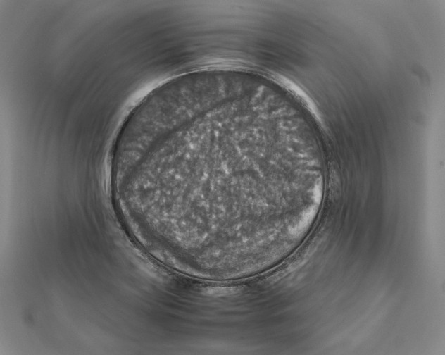 X0000112011419200908311125