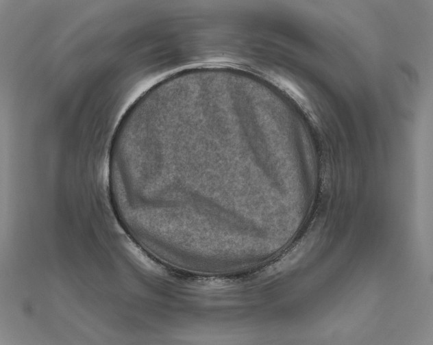X0000112011420200908311125