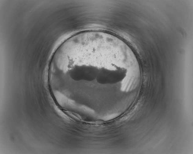 X0000112011421200908311125