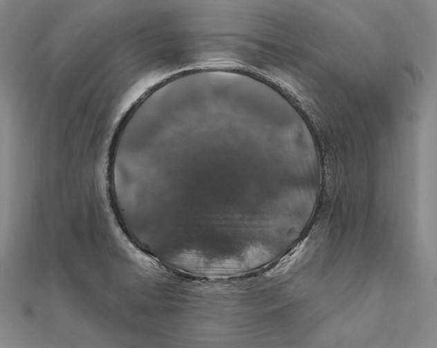 X0000112011422200908311125