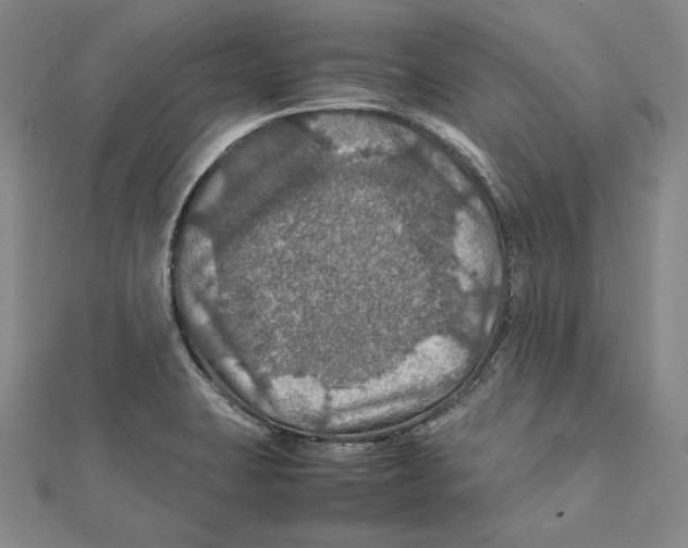 X0000112011423200908311125