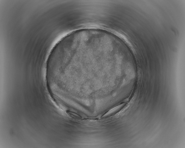X0000112011424200908311125