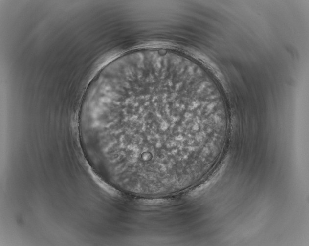 X0000112011425200908311125