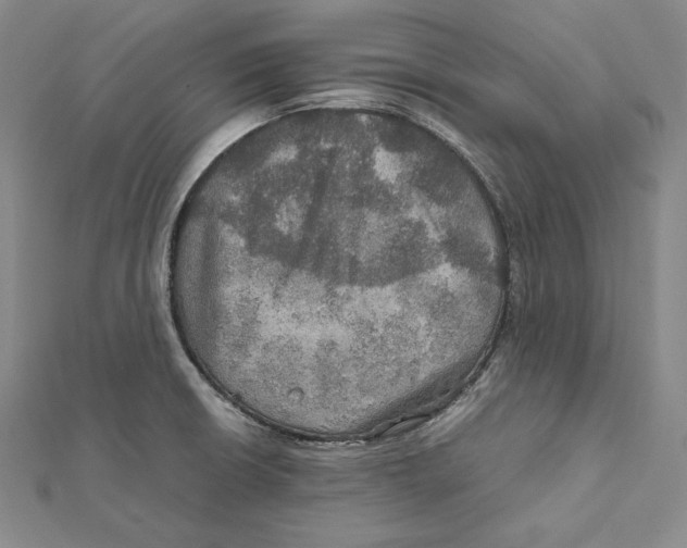 X0000112011426200908311125