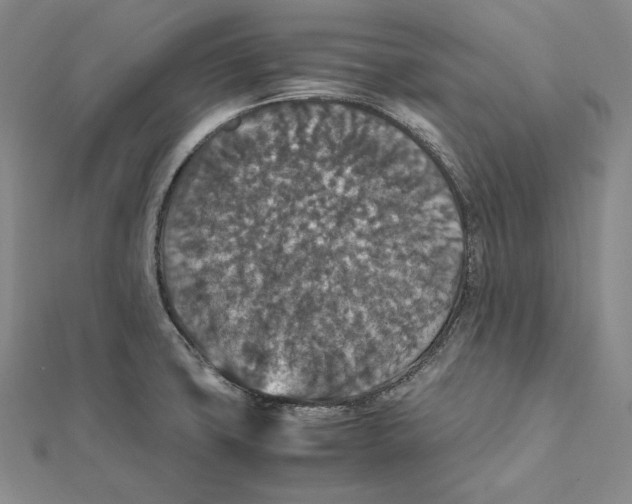 X0000112011427200908311125