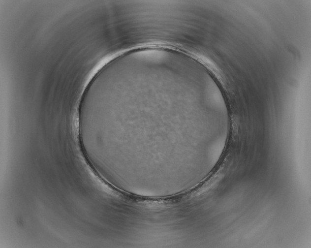 X0000112011428200908311125