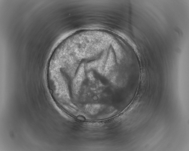 X0000112011429200908311125