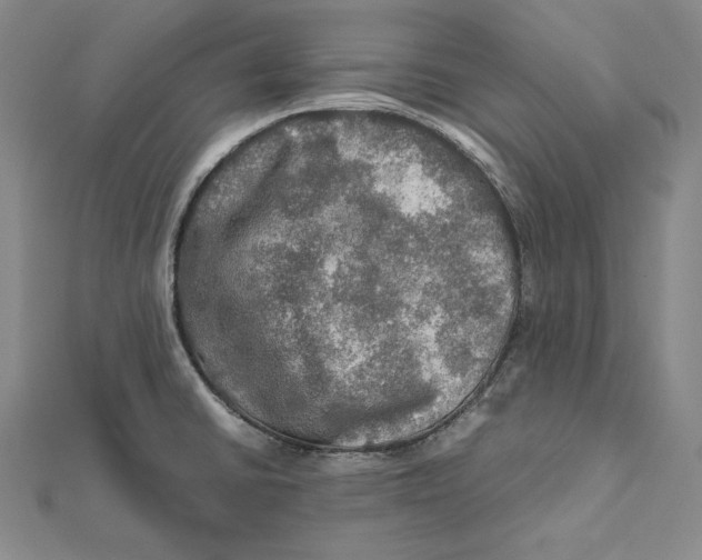 X0000112011430200908311125
