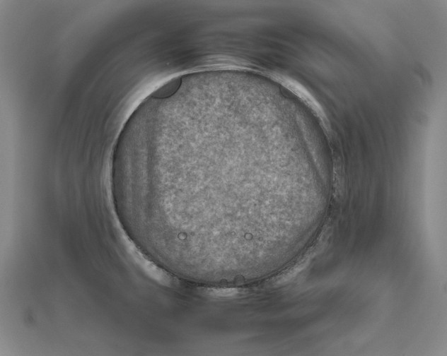 X0000112011431200908311125