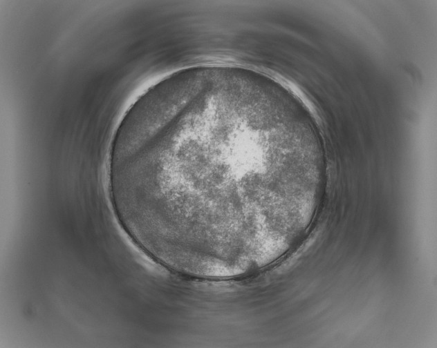 X0000112011432200908311125