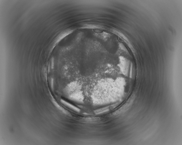 X0000112011433200908311125