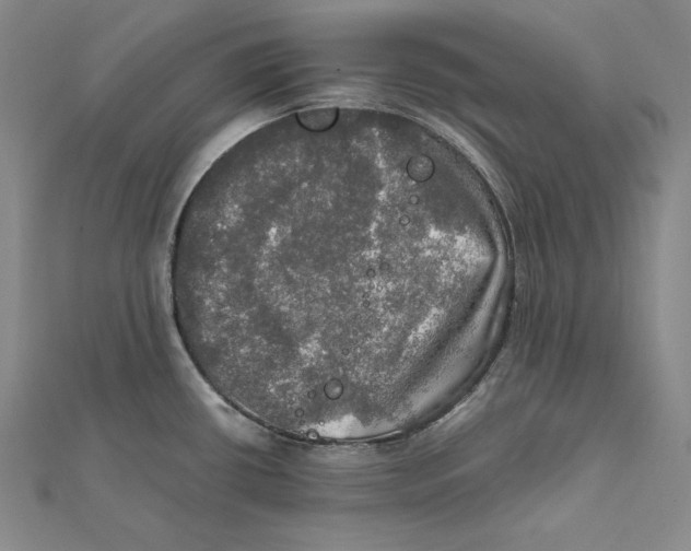 X0000112011434200908311125