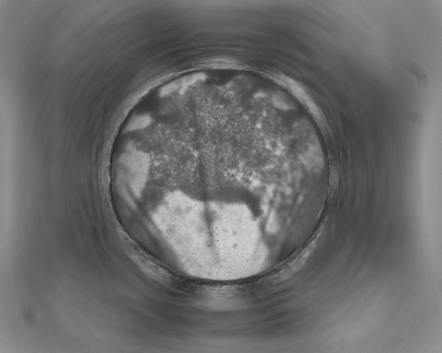 X0000112011435200908311125