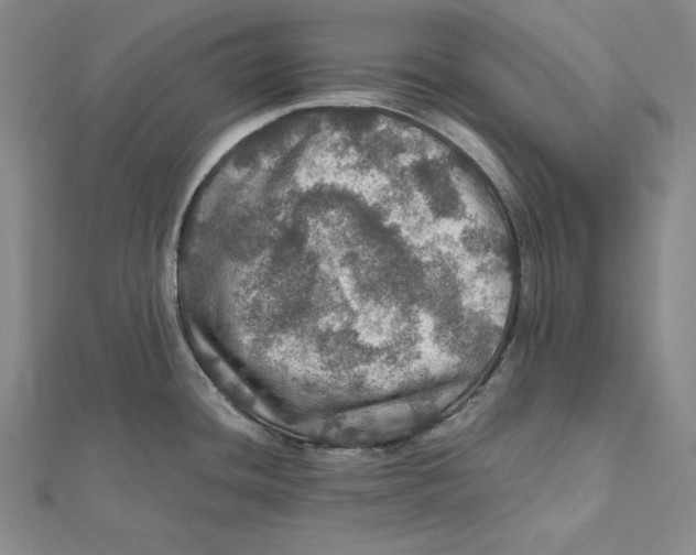 X0000112011436200908311125