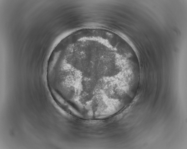 X0000112011437200908311125