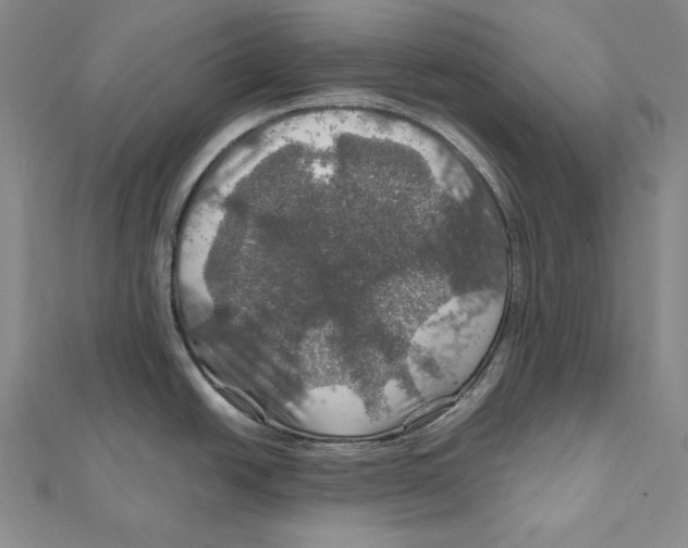 X0000112011438200908311125