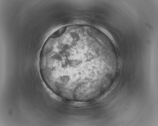 X0000112011439200908311125