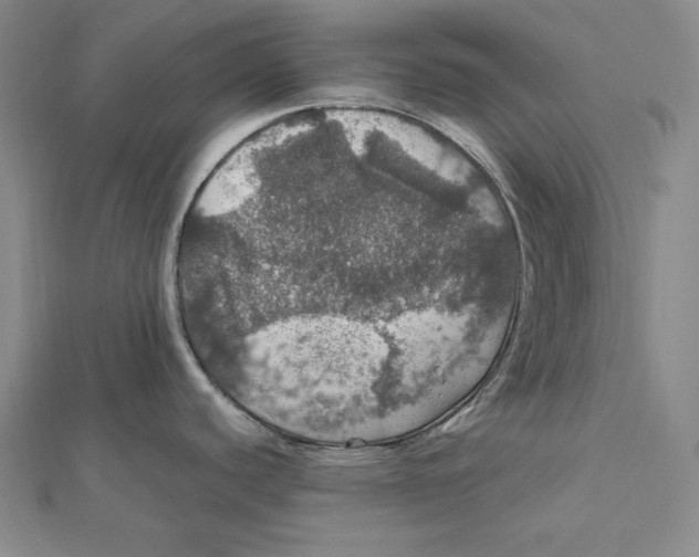 X0000112011440200908311125