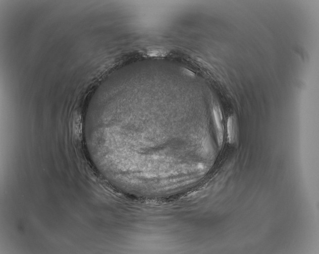 X0000112011443200908311125