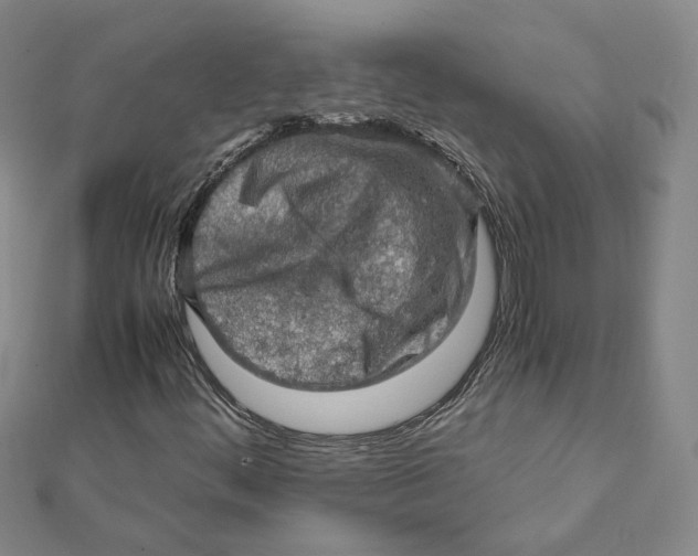 X0000112011444200908311125
