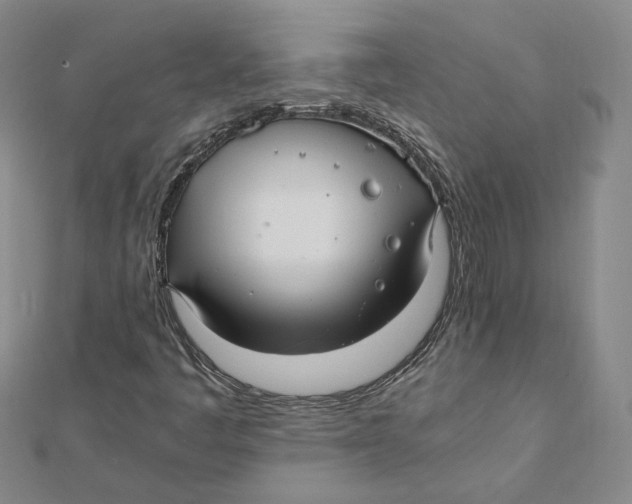 X0000112011445200908311125