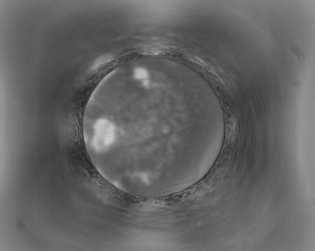 X0000112011446200908311125