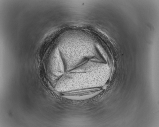 X0000112011447200908311125