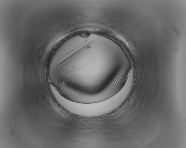 X0000112011448200908311125