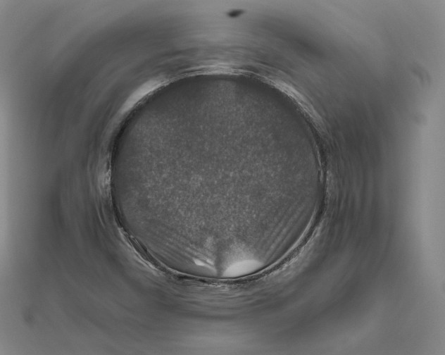 X0000112011450200908311125