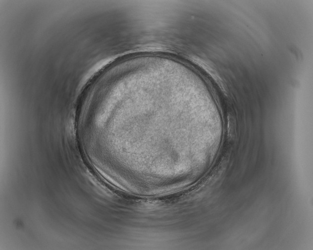 X0000112011452200908311125