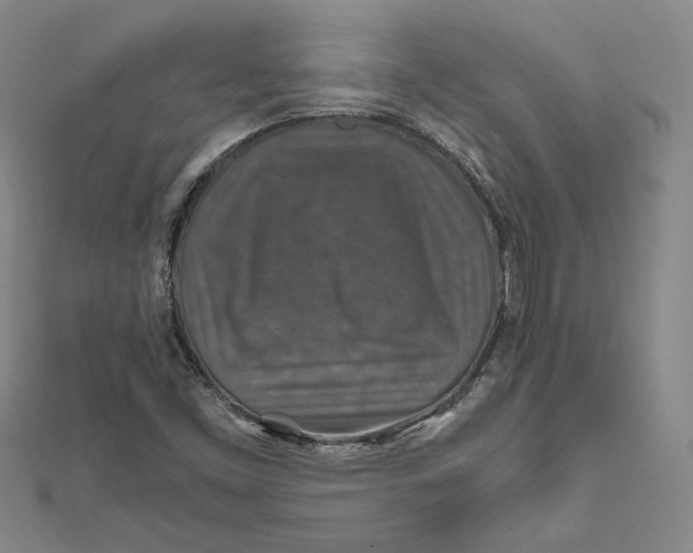 X0000112011453200908311125