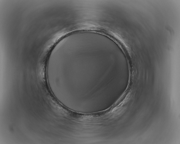 X0000112011455200908311125
