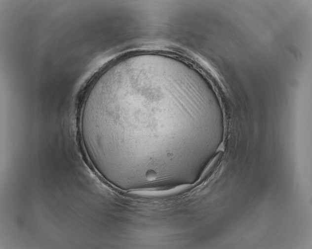 X0000112011456200908311125