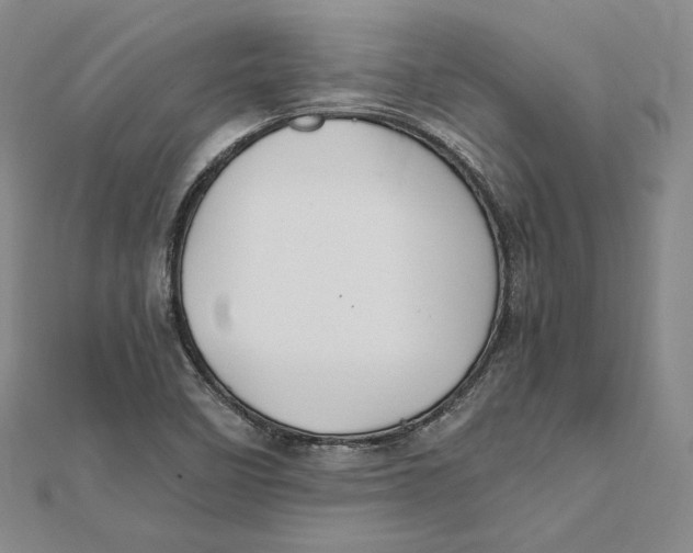 X0000112011458200908311125