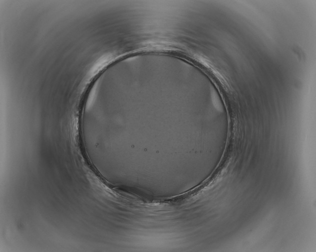 X0000112011459200908311125