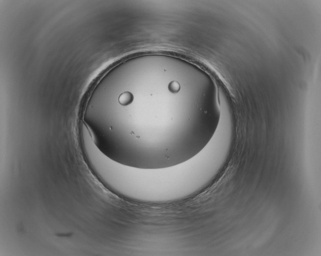 X0000112011460200908311125