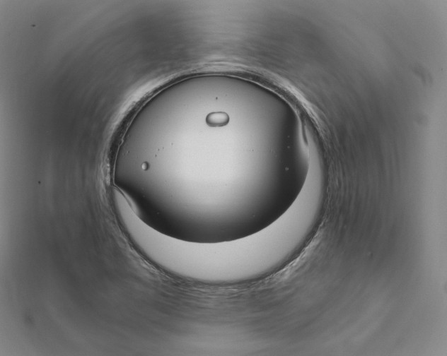 X0000112011461200908311125