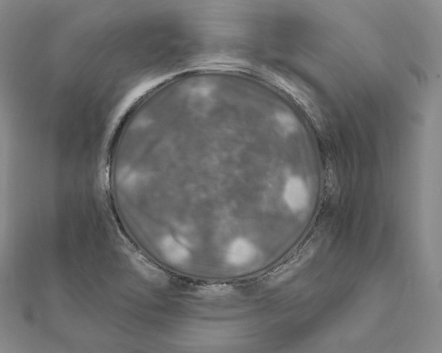 X0000112011462200908311125