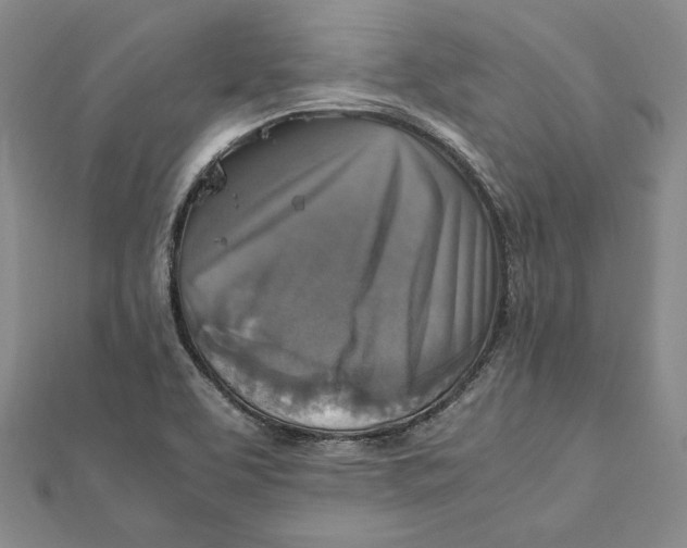 X0000112011463200908311125