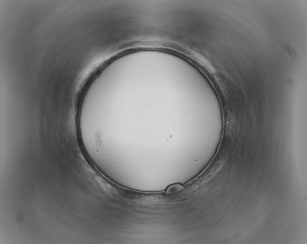 X0000112011464200908311125