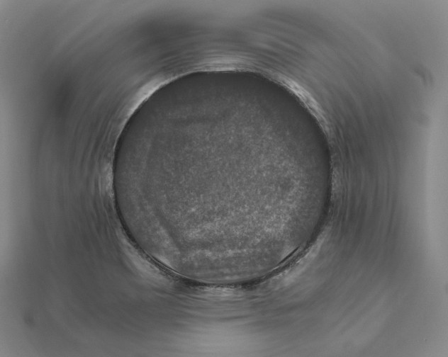 X0000112011465200908311124
