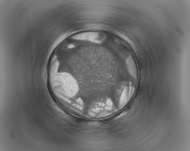 X0000112011467200908311124