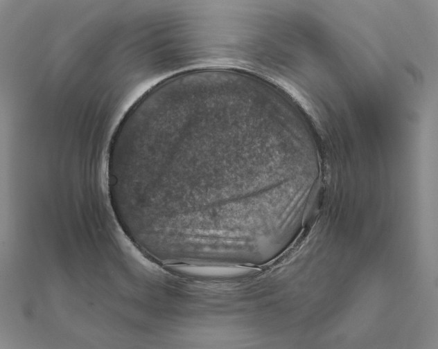 X0000112011468200908311124