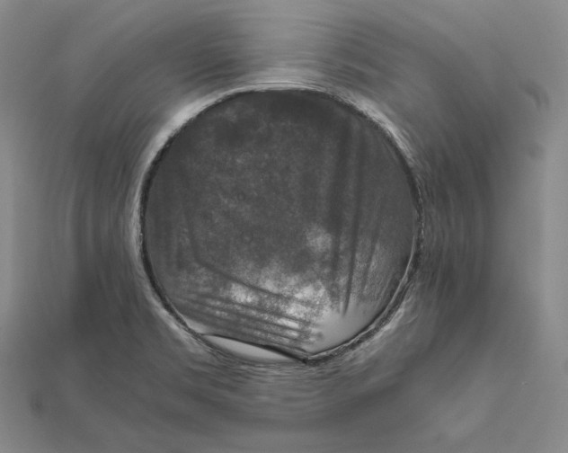X0000112011469200908311124