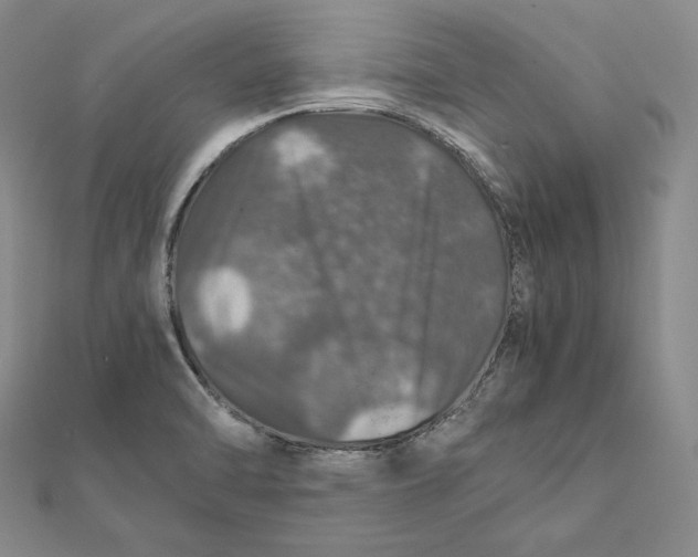 X0000112011470200908311124