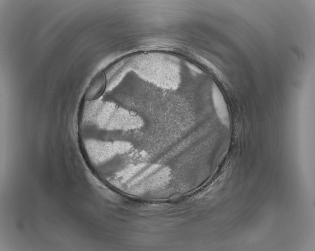 X0000112011471200908311124